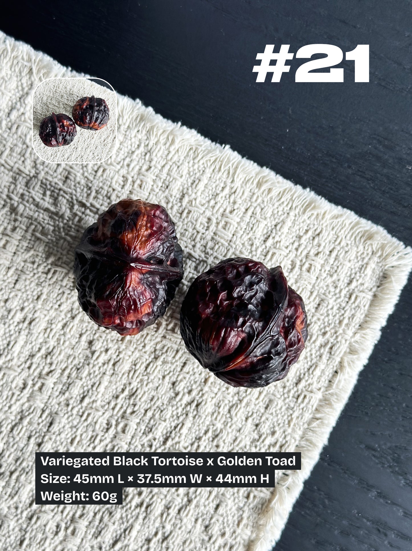 Walnut Advanced Kit: Iron Walnut Series #2 (Selected Pairs)