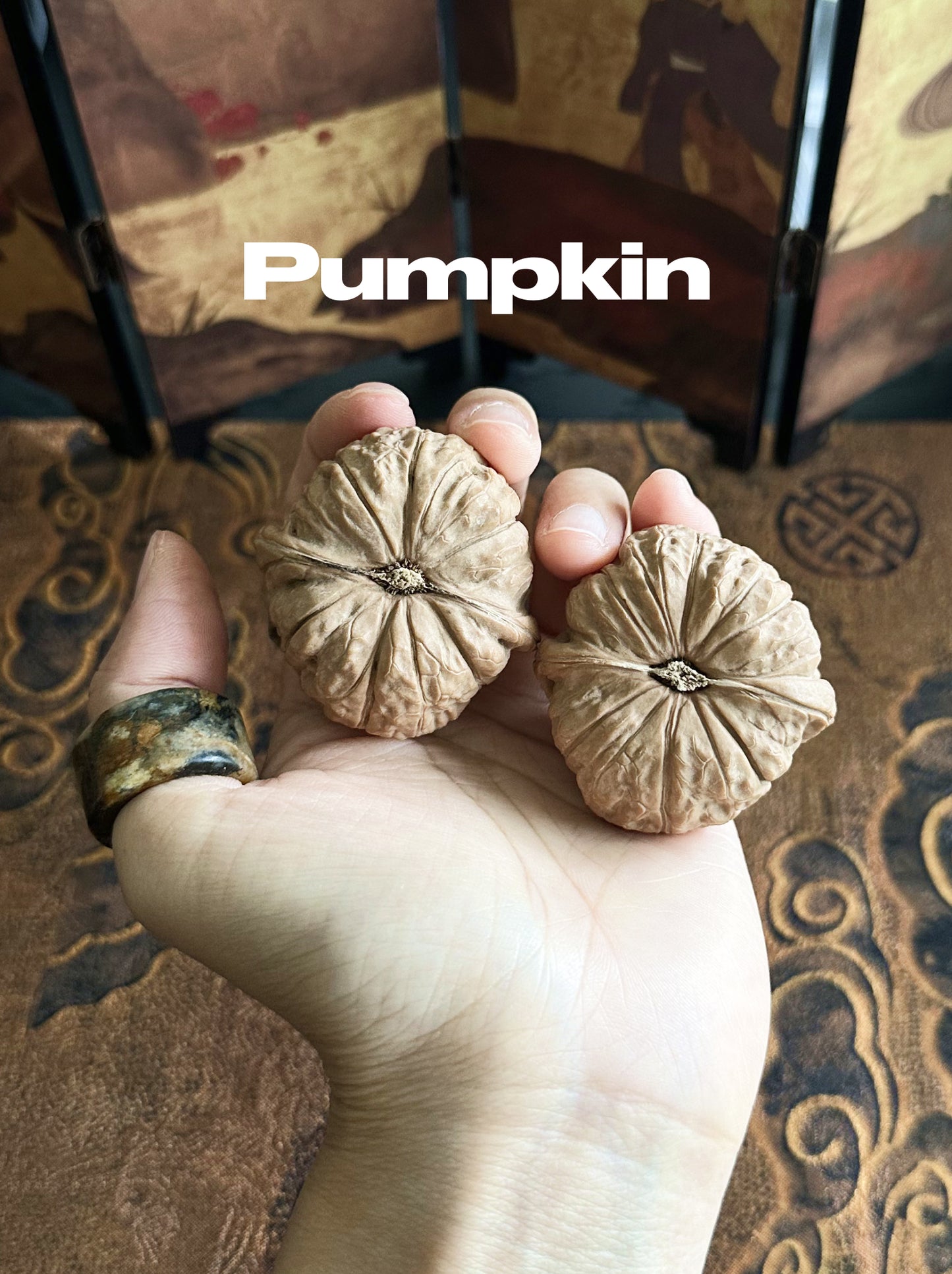 Wenwan Walnut Advanced Kit