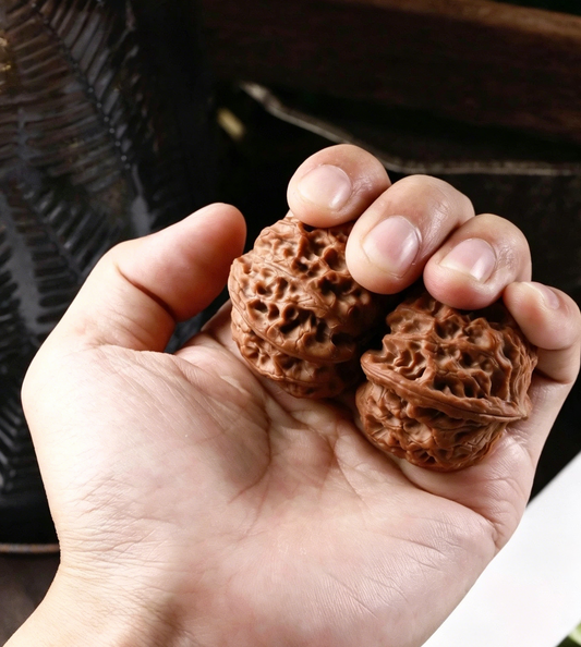 Hand Therapy Walnuts — The Science and Tradition Behind Chinese Acupressure Walnuts