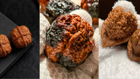 A Beginner’s Guide to Iron Walnuts