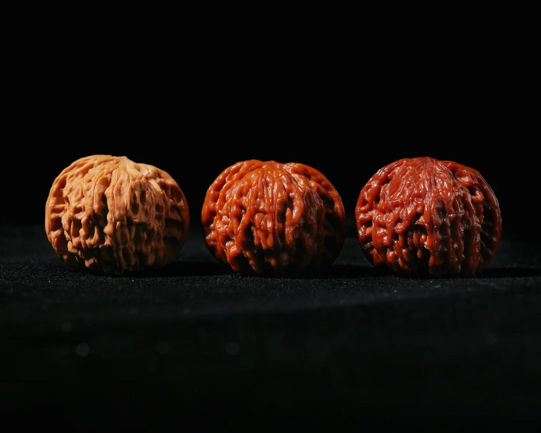 Your First 30 Days with Wenwan Walnuts: A Complete Care Routine