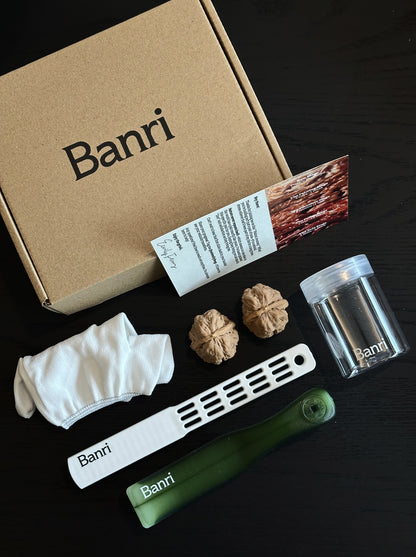Complete Banri premium Wenwan walnut advanced kit with rare collector walnuts, professional brushes, and storage jar.