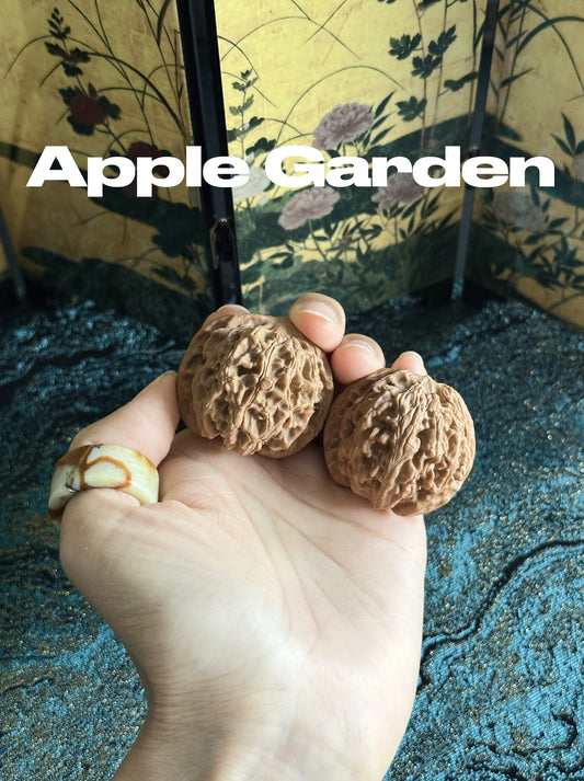 Apple Garden Wenwan Walnut