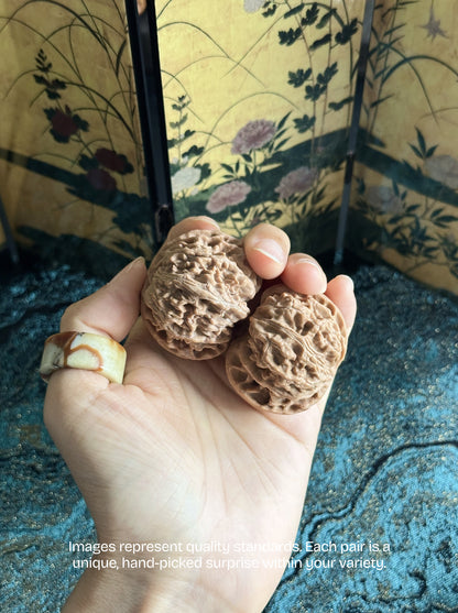 Apple Garden Wenwan Walnut