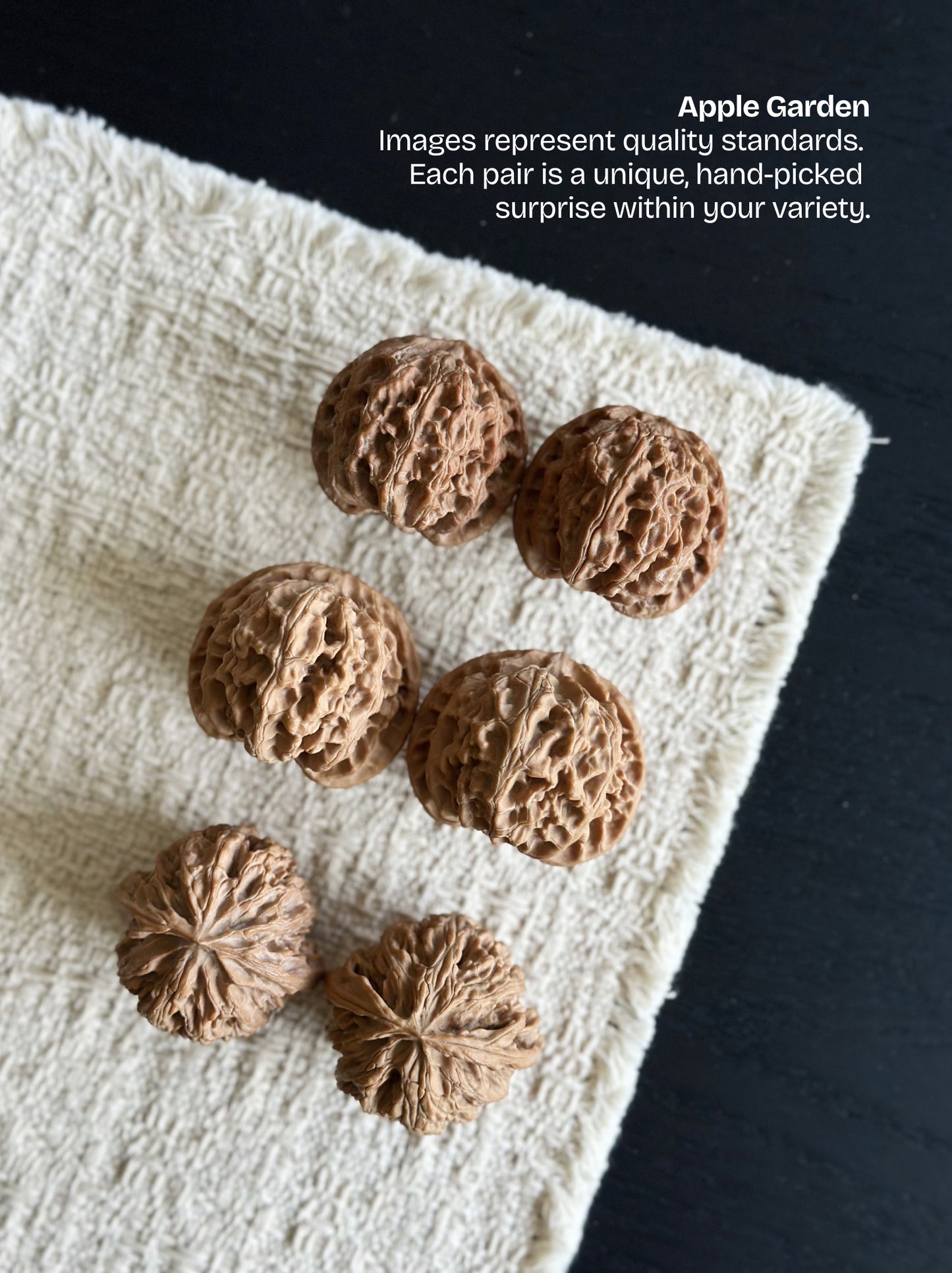 Wenwan Walnut Advanced Kit