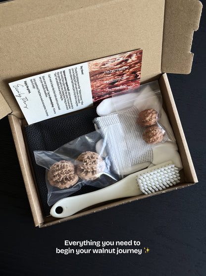 Wenwan Walnut Starter Kit