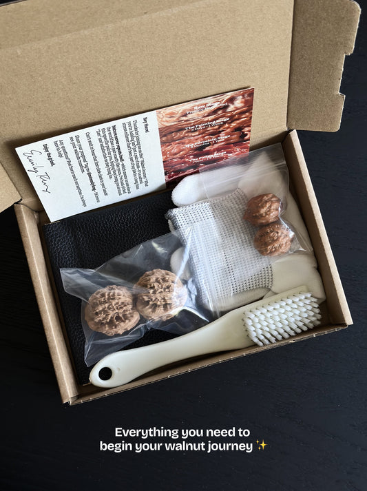 Wenwan Walnut Starter Kit