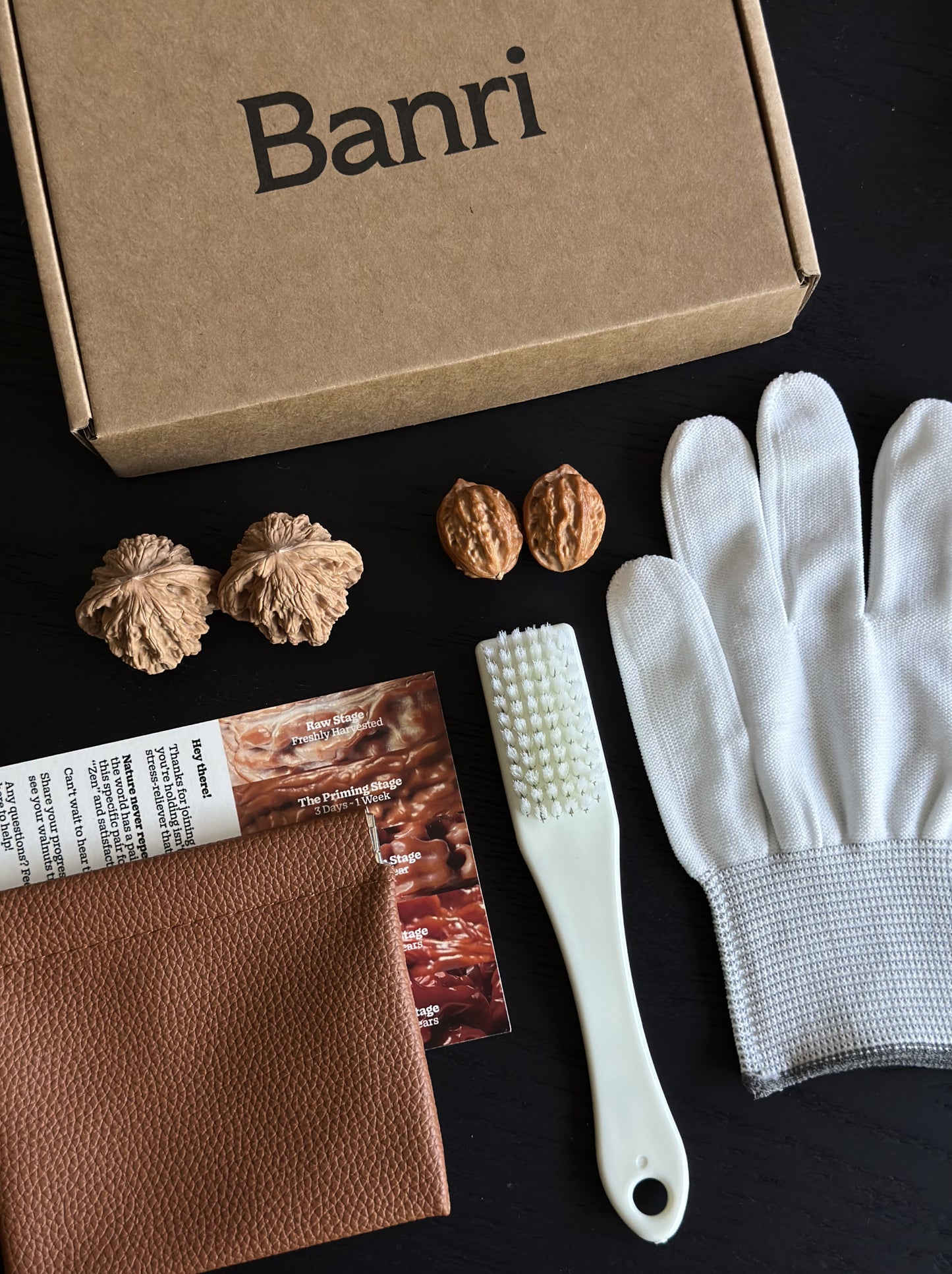 Wenwan Walnut Starter Kit