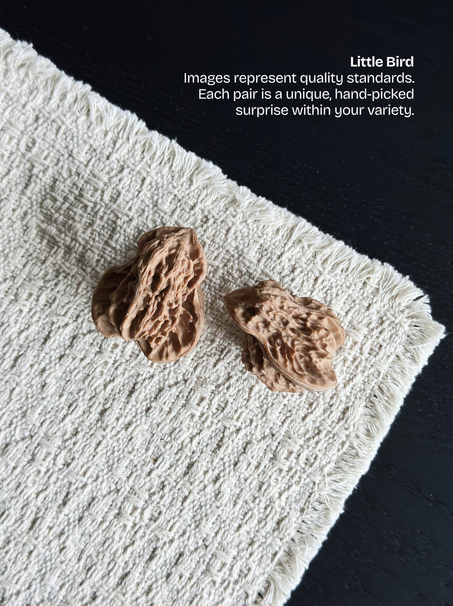 Wenwan Walnut Advanced Kit