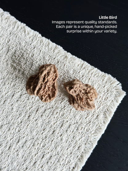 Rare "Little Bird" Shape Walnut