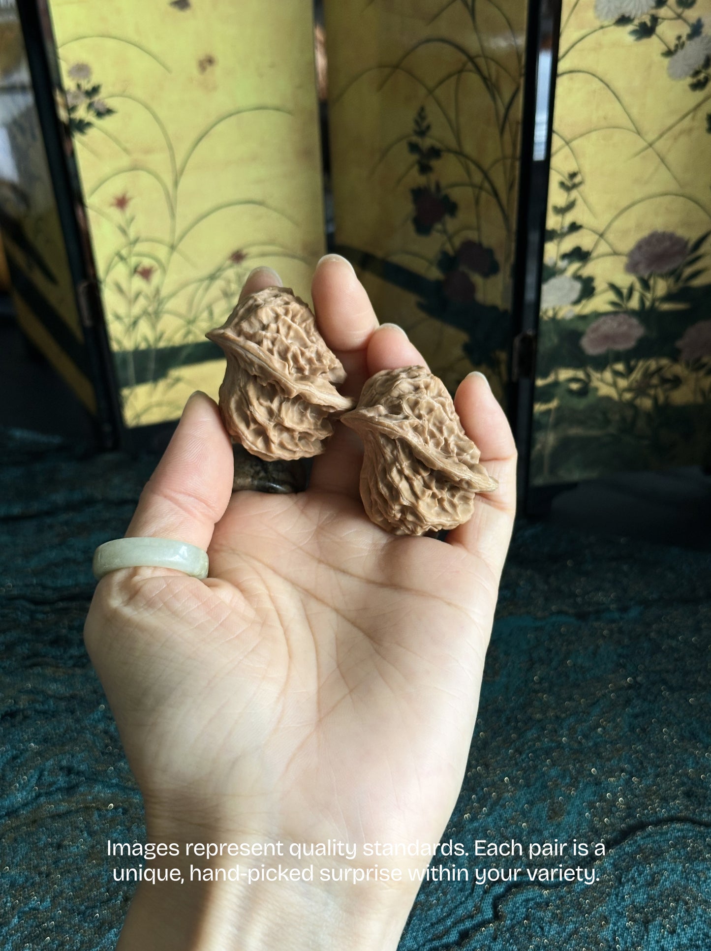 Wenwan Walnut Advanced Kit