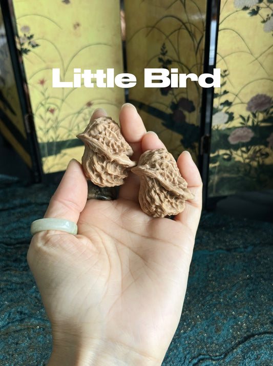 Rare "Little Bird" Shape Walnut