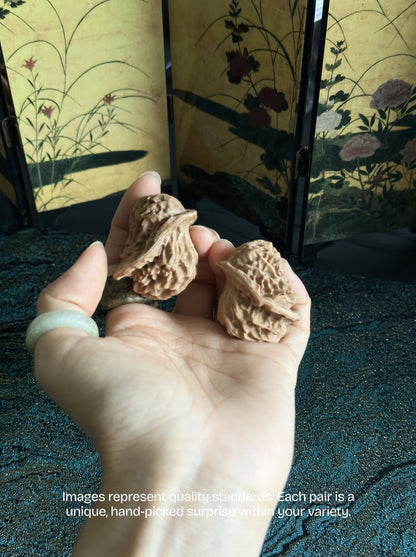 Rare "Little Bird" Shape Walnut