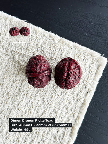 Iron Walnut Series #4 - Dimen Dragon Ridge Toad +  Dragon Hydrangea