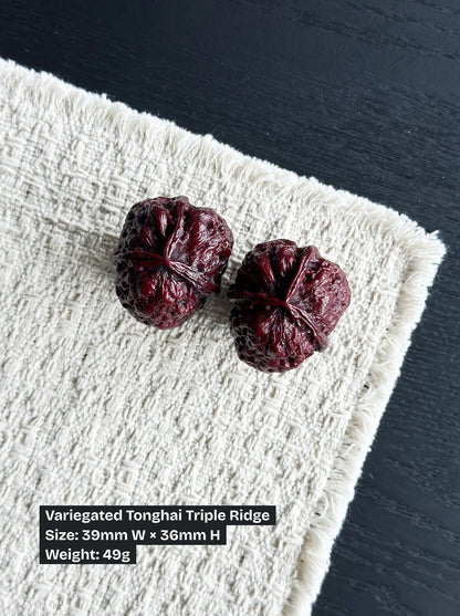Iron Walnut Series #4 - Variegated Tonghai Triple Ridge