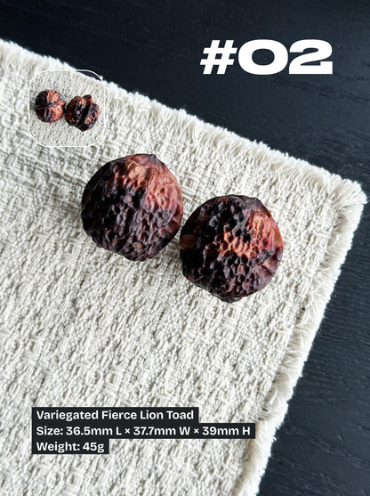 Walnut Advanced Kit: Iron Walnut Series #4 (Selected Pairs)