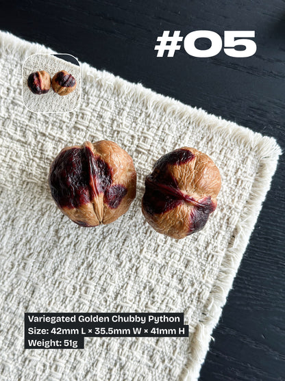 Walnut Advanced Kit: Iron Walnut Series #4 (Selected Pairs)