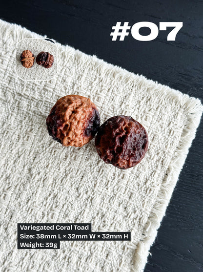 Walnut Advanced Kit: Iron Walnut Series #4 (Selected Pairs)