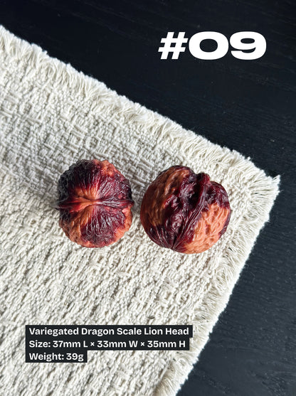 Walnut Advanced Kit: Iron Walnut Series #2 (Selected Pairs)