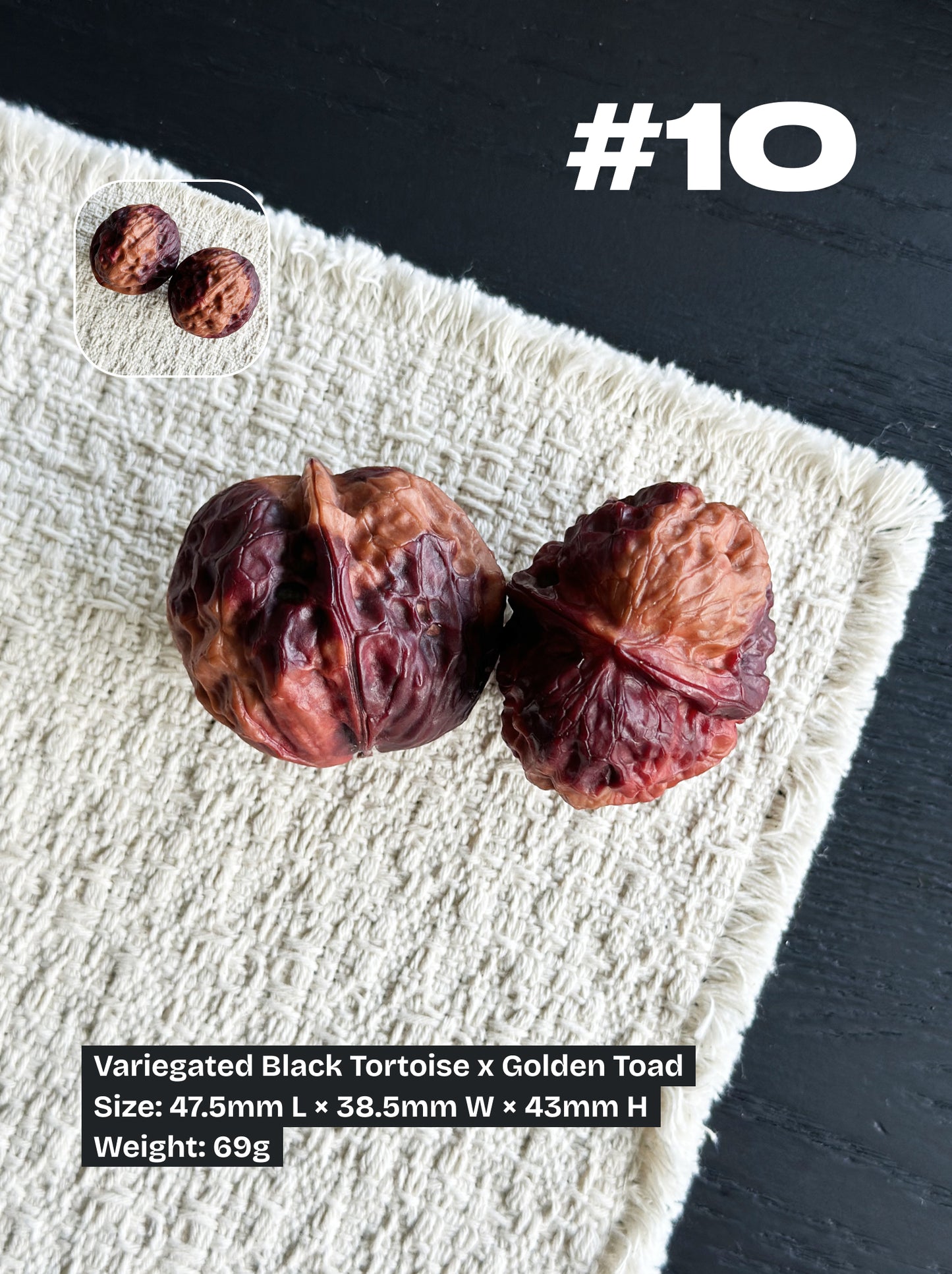 Walnut Advanced Kit: Iron Walnut Series #4 (Selected Pairs)