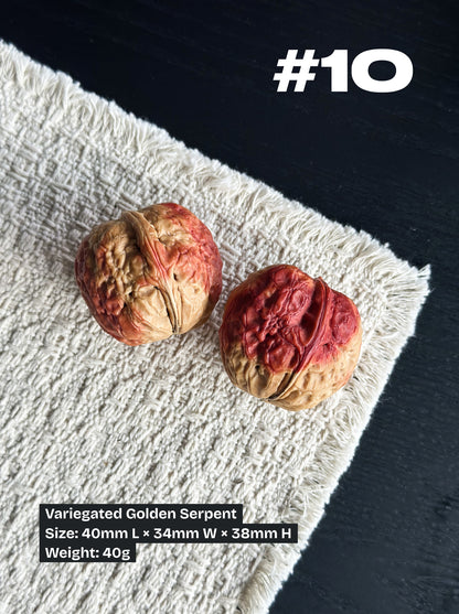 Walnut Advanced Kit: Iron Walnut Series #2 (Selected Pairs)