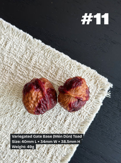 Walnut Advanced Kit: Iron Walnut Series (Selected Pairs)