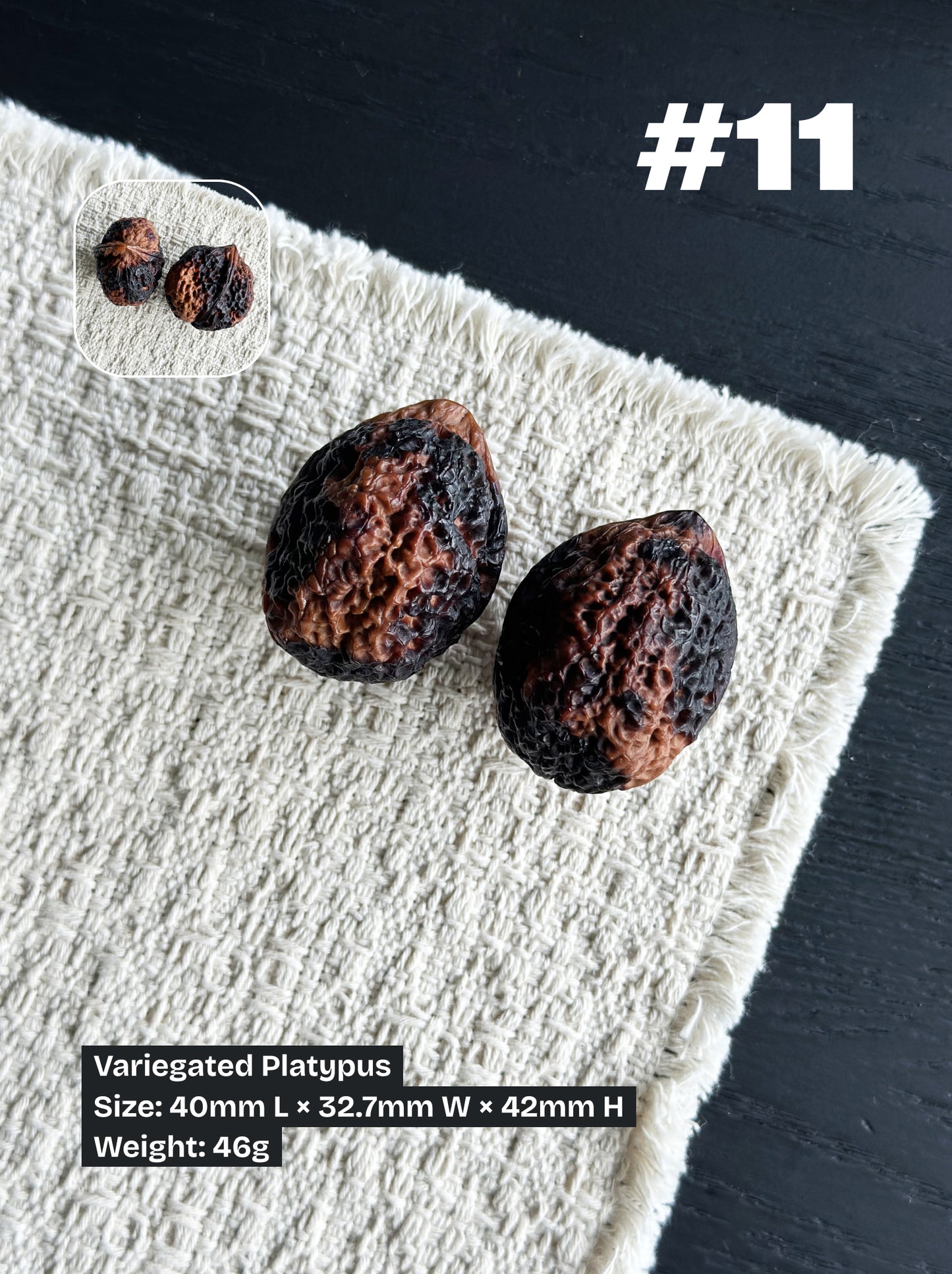 Walnut Advanced Kit: Iron Walnut Series #4 (Selected Pairs)