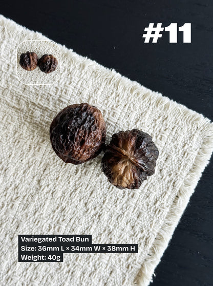 Walnut Advanced Kit: Iron Walnut Series #3 (Selected Pairs)
