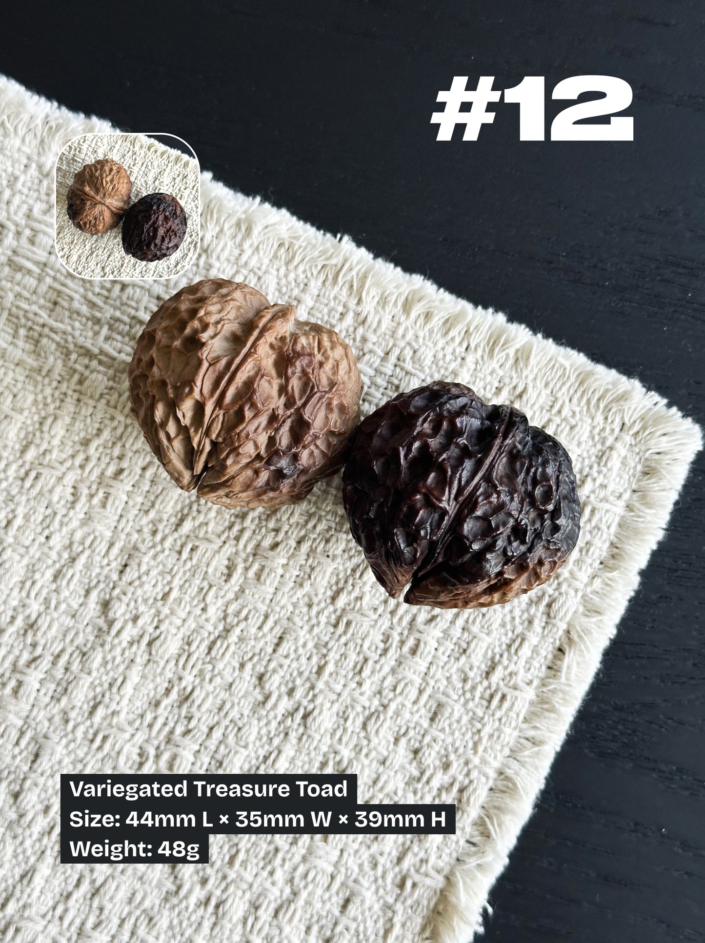 Walnut Advanced Kit: Iron Walnut Series #3 (Selected Pairs)