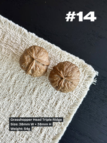 Walnut Advanced Kit: Iron Walnut Series (Selected Pairs)