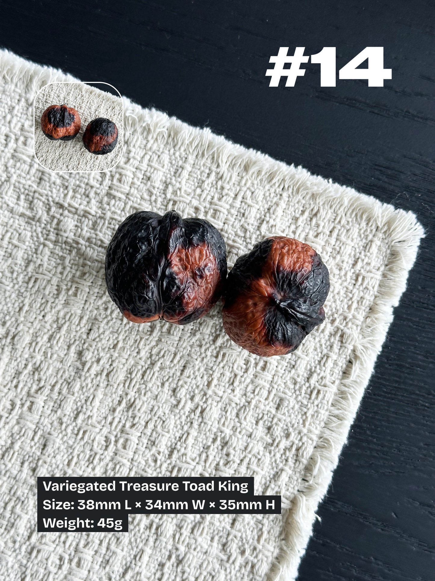 Walnut Advanced Kit: Iron Walnut Series #4 (Selected Pairs)