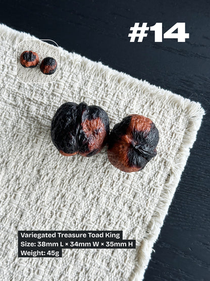 Walnut Advanced Kit: Iron Walnut Series #4 (Selected Pairs)
