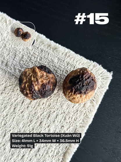 Walnut Advanced Kit: Iron Walnut Series #2 (Selected Pairs)