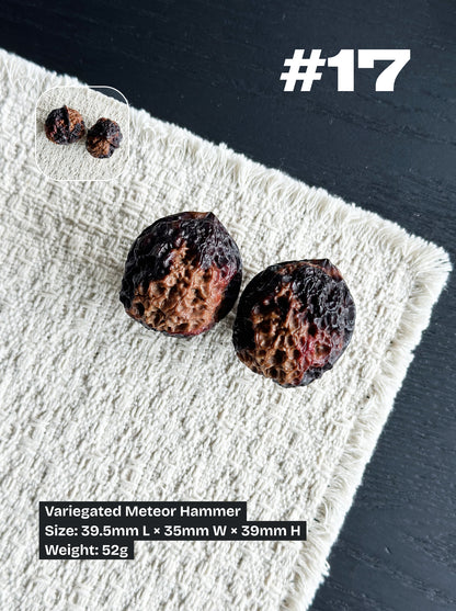 Walnut Advanced Kit: Iron Walnut Series #3 (Selected Pairs)