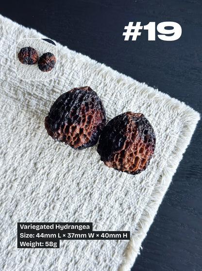 Walnut Advanced Kit: Iron Walnut Series #3 (Selected Pairs)