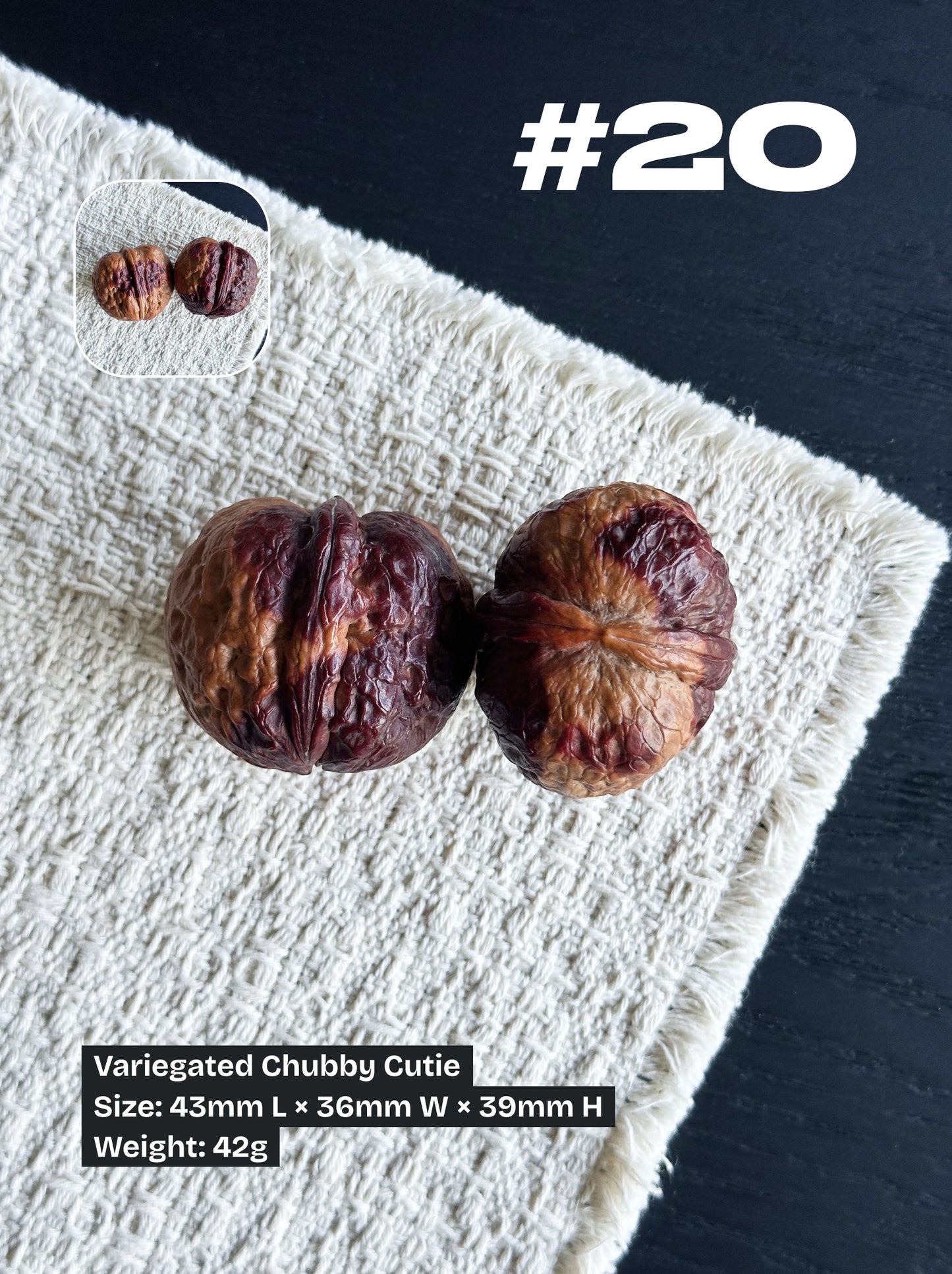Walnut Advanced Kit: Iron Walnut Series #3 (Selected Pairs)