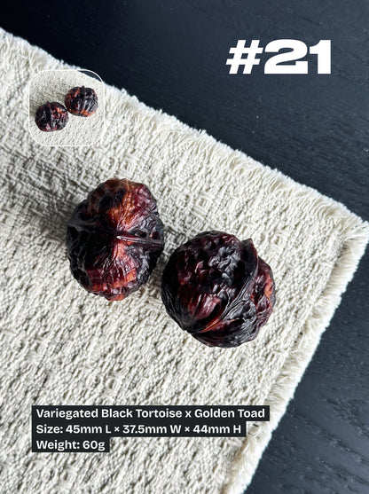 Walnut Advanced Kit: Iron Walnut Series #2 (Selected Pairs)