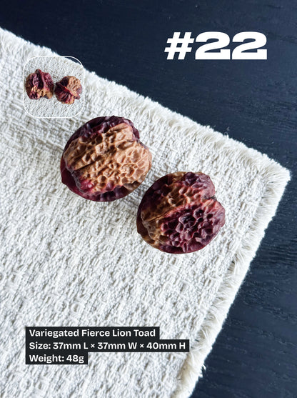Walnut Advanced Kit: Iron Walnut Series #3 (Selected Pairs)