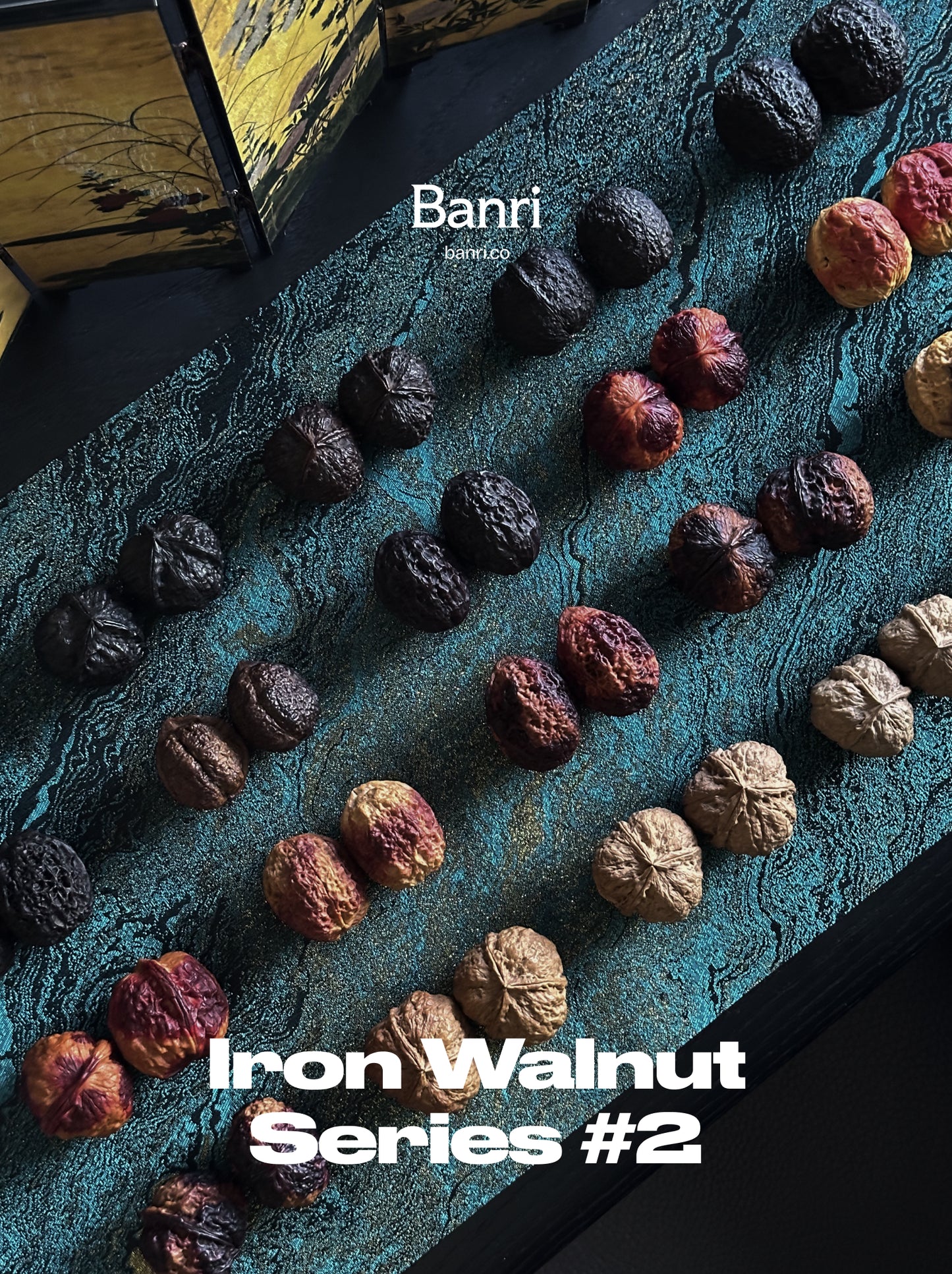 Walnut Advanced Kit: Iron Walnut Series #2 (Selected Pairs)