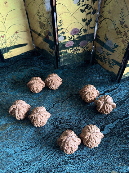 Millstone Walnut