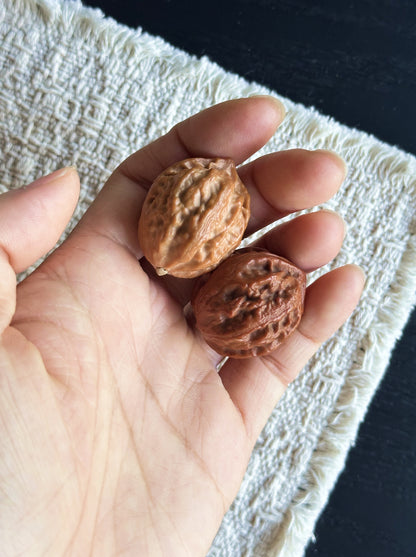 Mini Wild Autumn (Qiuzi) Wenwan Walnuts | Pocket Fidget Pair