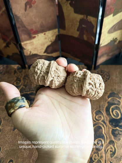 Pumpkin Wenwan Walnut - Big-Hand Friendly, Full-Palm Feel (44–48mm)