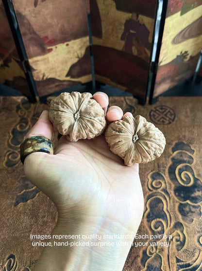 Pumpkin Wenwan Walnut - Big-Hand Friendly, Full-Palm Feel (44–48mm)
