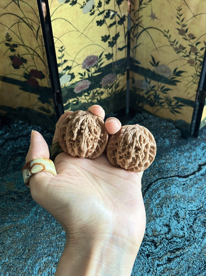 Wheat-Ear Tiger Head Wenwan Walnut
