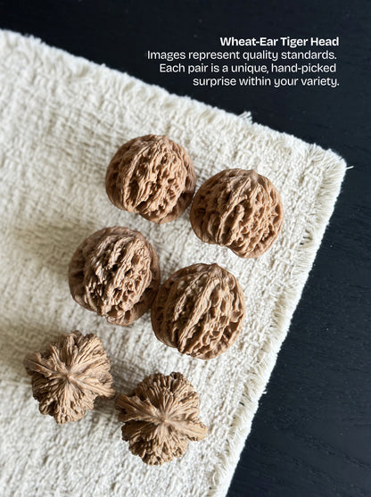 Wheat-Ear Tiger Head Wenwan Walnut