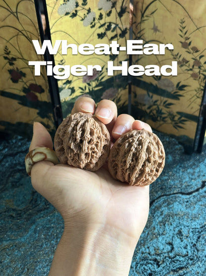 Wheat-Ear Tiger Head Wenwan Walnut