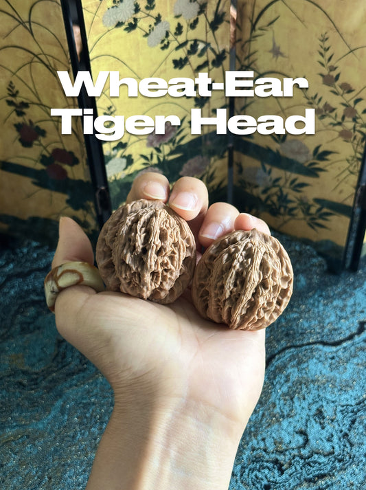 Wheat-Ear Tiger Head Wenwan Walnut