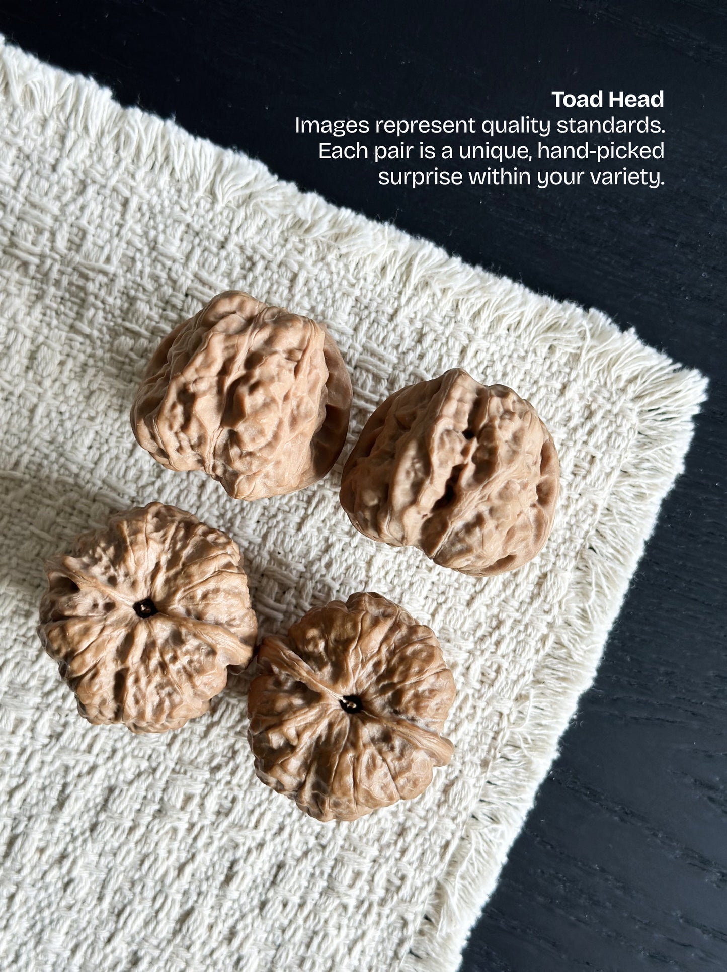 Toad Head Walnut