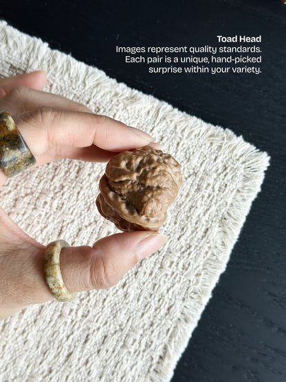 Toad Head Walnut