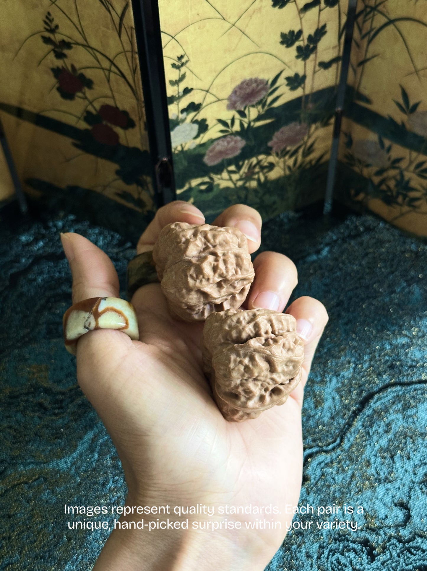 Toad Head Wenwan Walnut